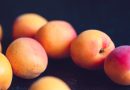 Ferskentræer – Frugten af god pleje