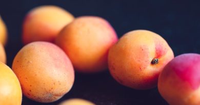 Ferskentræer – Frugten af god pleje
